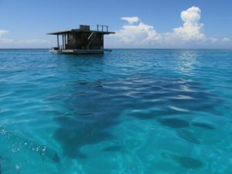 Pemba, l'isola che pochi conoscono