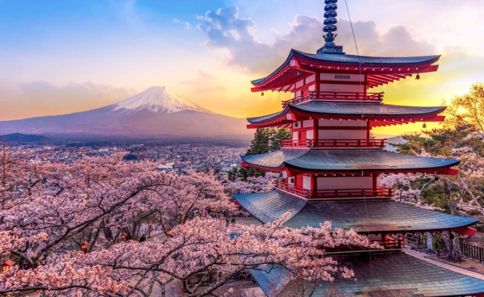 Cinque giorni a Tokyo, oltre il jet lag