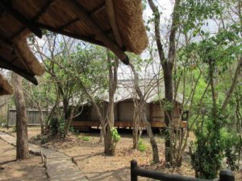Tanzania - Selous Game Reserve: il safari meno conosciuto