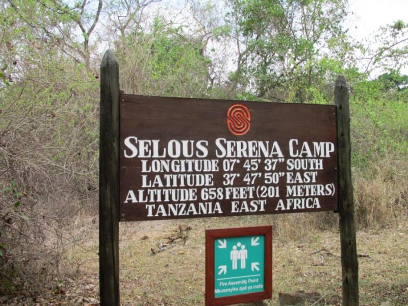 Tanzania - Selous Game Reserve: il safari meno conosciuto