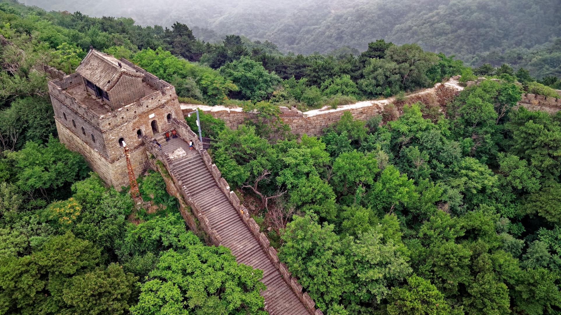 Cina