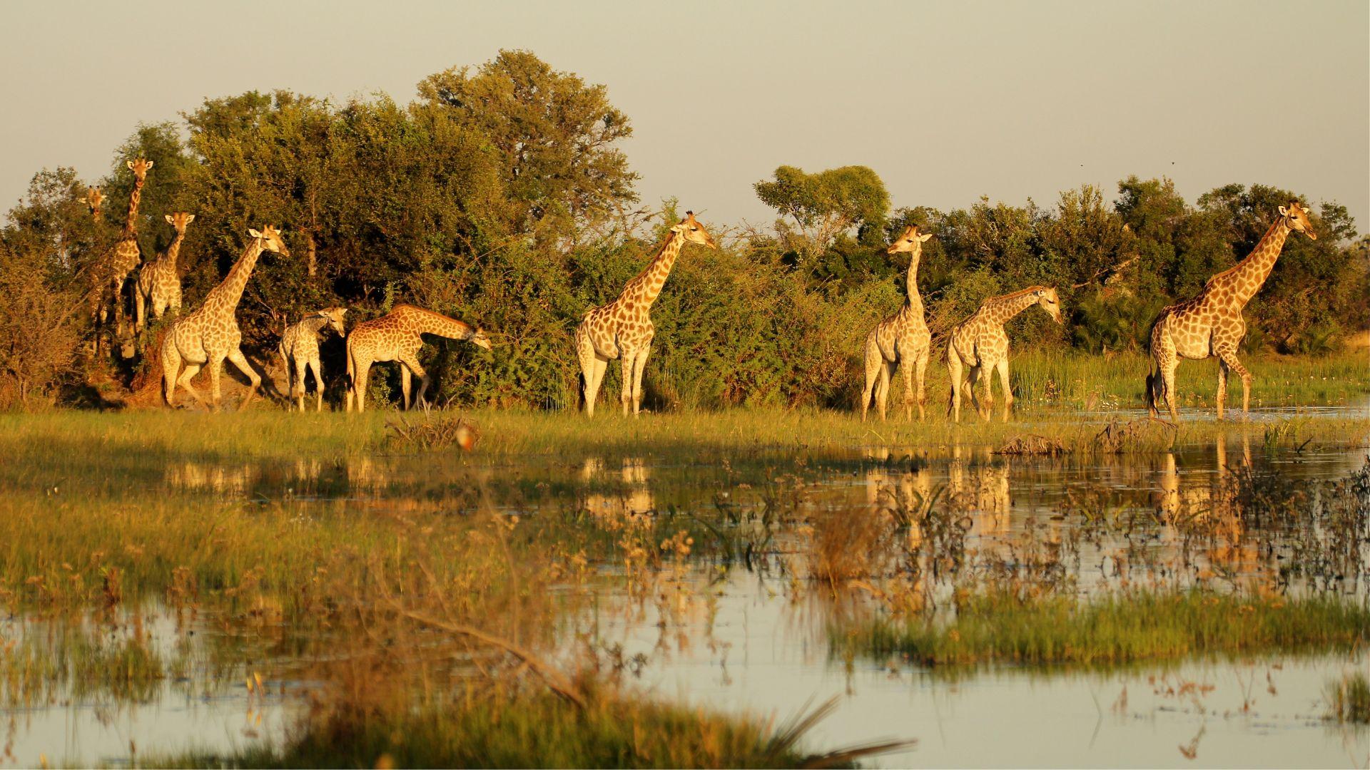 Botswana
