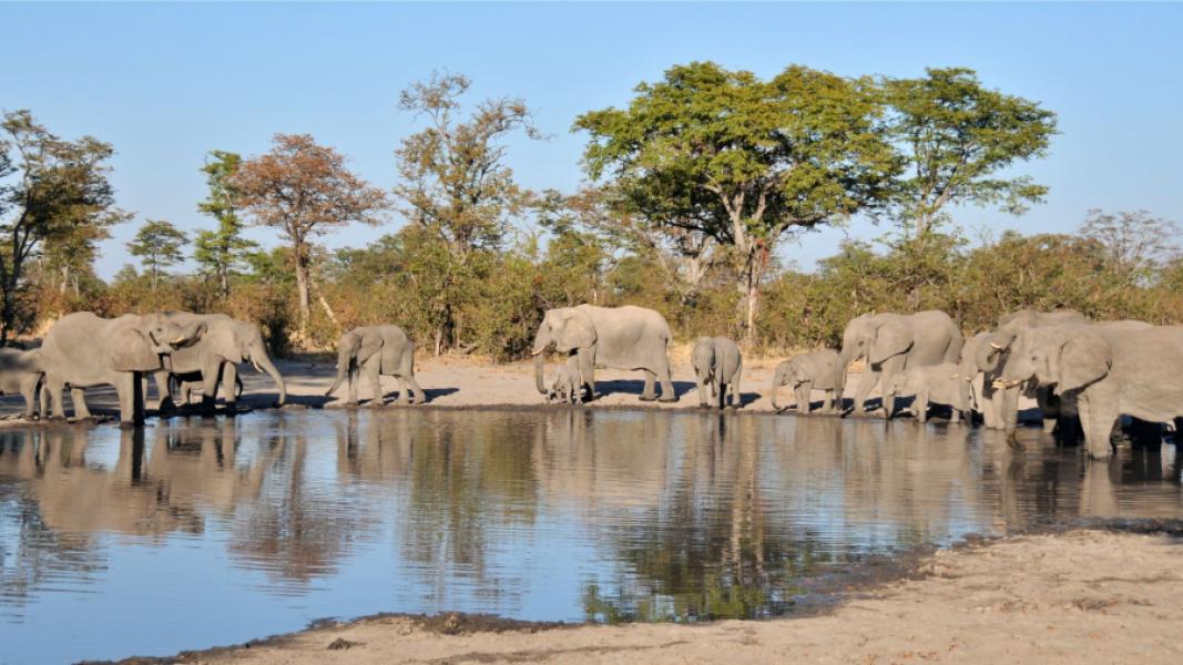 Botswana