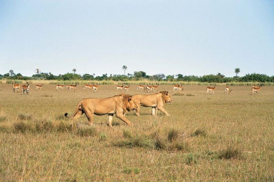 Botswana