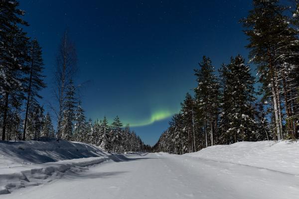 LAPPONIA FINLANDESE: Yllas e Rovaniemi