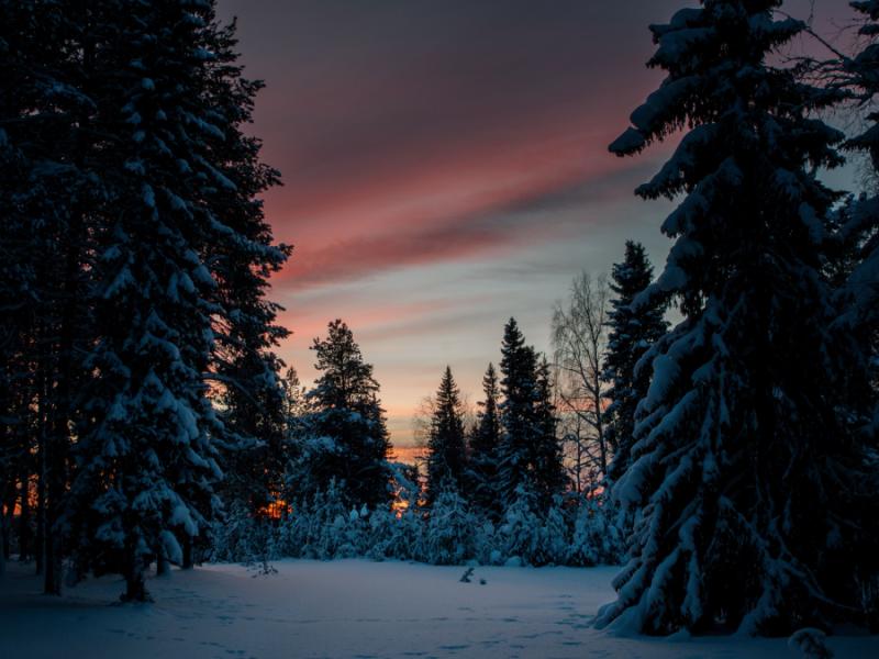 LAPPONIA FINLANDESE: Yllas e Rovaniemi