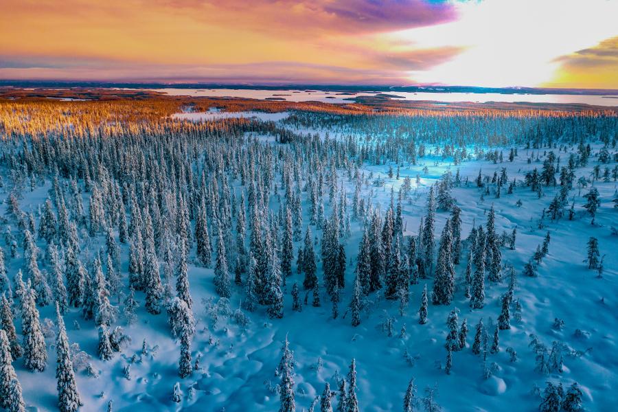 LAPPONIA SVEDESE: Haparanda e Seskarö