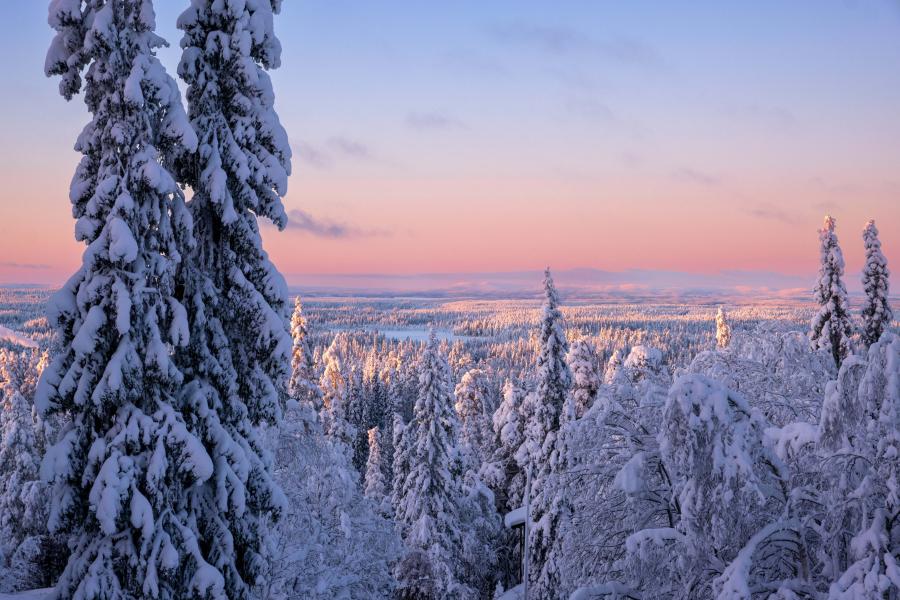 LAPPONIA FINLANDESE: La residenza di Babbo Natale