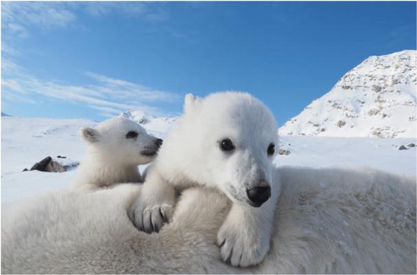 WEEKEND ALLE ISOLE SVALBARD