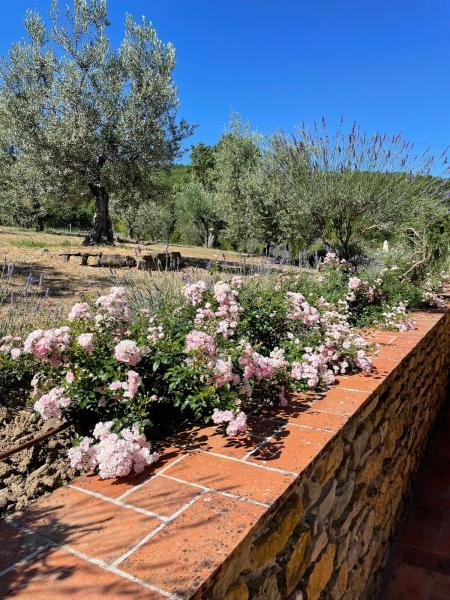 La Cella - casale toscano con piscina esclusiva