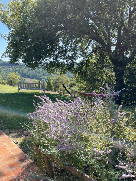 La Cella - casale toscano con piscina esclusiva